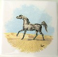 Ceramic Tile Grey Arabian