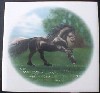 Ceramic Tile frisian Horse 