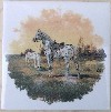 Ceramic Tile Saddled Appaloosa