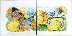 Ceramic Tile Mural Tropical fish Clear