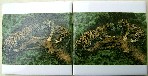 Ceramic Tile Mural Fighting Leaopards