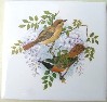Ceramic Tile Domestic Birds