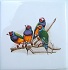 Ceramic Tile Tropical Birds parrots
