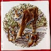 Ceramic Tile Bengal Tiger