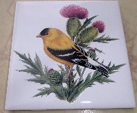 Ceramic Tile domestic bird Gold finch