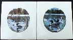 Ceramic Tile 2 Loons