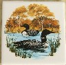 Ceramic Tile Loons