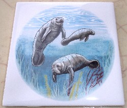 Ceramic Tile Manatee