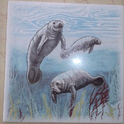 Ceramic Tile Manatee
