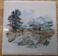 Ceramic Tile Moose