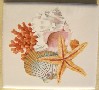 Ceramic Tile Pretty Sea Shells