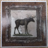 Ceramic Tile Moose