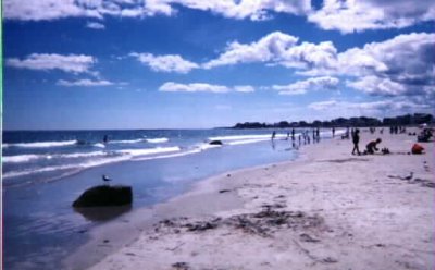Beach1.jpg (22017 bytes)