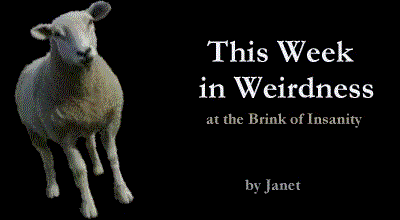 This Week in Weirdness