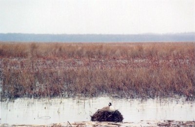 Montezuma NWR