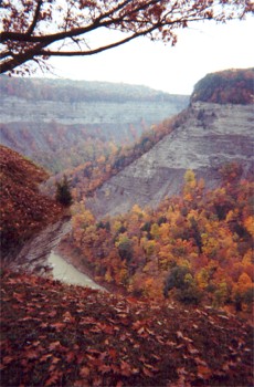 Letchworth Gorge