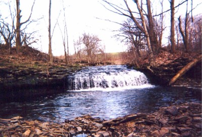 Woodland Streams