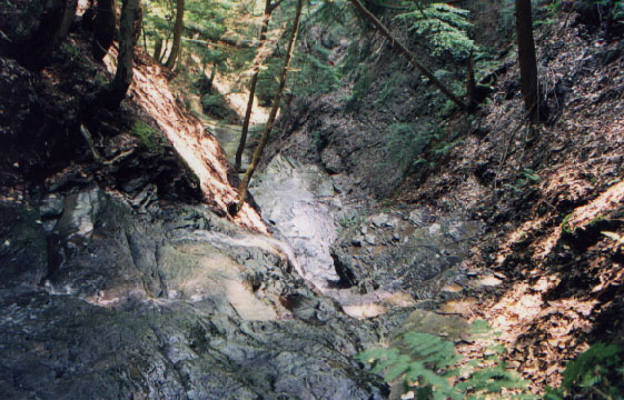 do2 water2.jpg (94111 bytes)