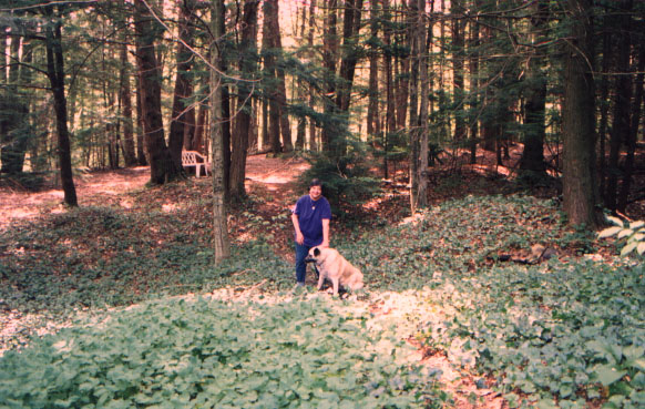 wol donadeva.jpg (106341 bytes)