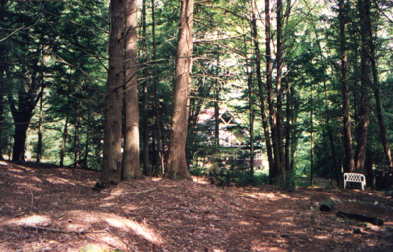 wol donhsebk.jpg (107188 bytes)