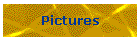 Pictures