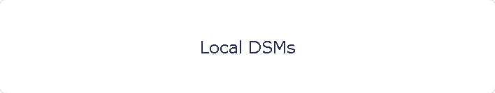 Local DSMs