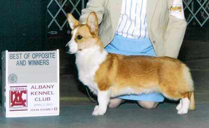 dewars.jpg (7716 bytes)