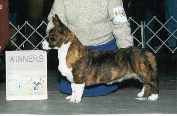 pk.jpg (25680 bytes)