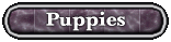 puppybutton.gif (4833 bytes)
