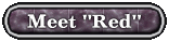 redbutton.gif (4831 bytes)