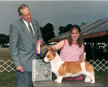 sparkle.jpg (14239 bytes)