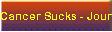 Cancer Sucks - Journal  Random Thots