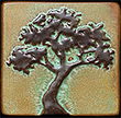 Bonsai Cypress Tree Tile