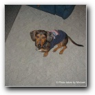 [Click to enlarge image]