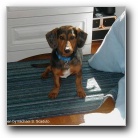 [Click to enlarge image]