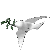 Danny's Dove of Peace
