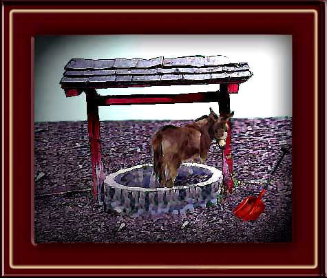 mule in well