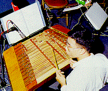 A Musician Playing a Chinese Instrument