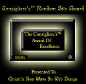 Christi's New Wave In Web Design Accepted as of 7/23/01