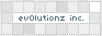 Ev0lutionz Inc