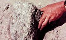 Mud brick mixed with straw