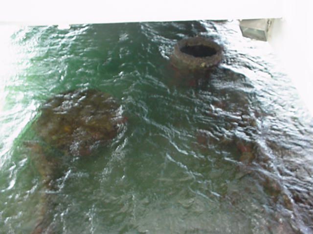 More Arizona pictures.