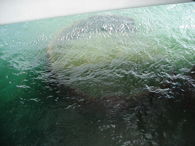 Another gun turret on the Arizona.