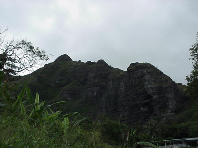 Just a view of the scenery