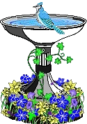 animated blue jay on birdbath