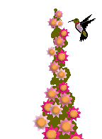 animated image hummingbird flowers