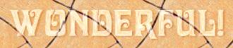 wonderful