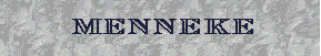 DESCENDANTS OF JOHANNE MENNEKE(CIRCA 1800)
