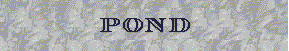 DESCENDANTS OF AMANDA POND(CIRCA 1835)