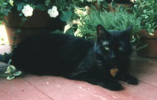 As pretty as the flowers